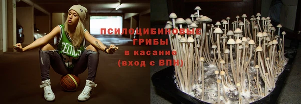 винт Горнозаводск