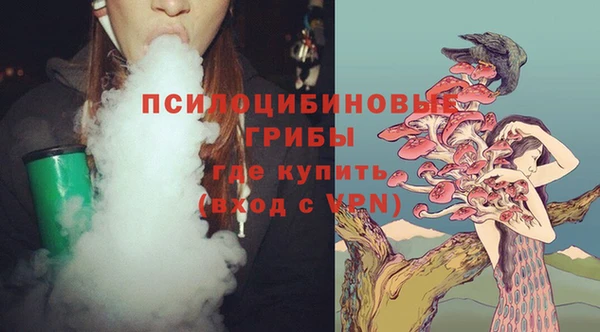 прущая мука Горняк